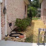 Shade garden - before